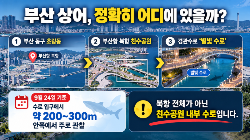 부산 친수공원 상어 위치 | 북항 부캉이 출몰 지역은?