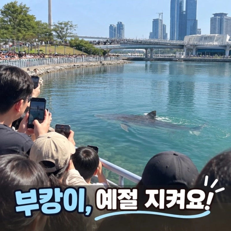 부산 북항 상어 부캉이 방문객이 챙겨야 할 예절