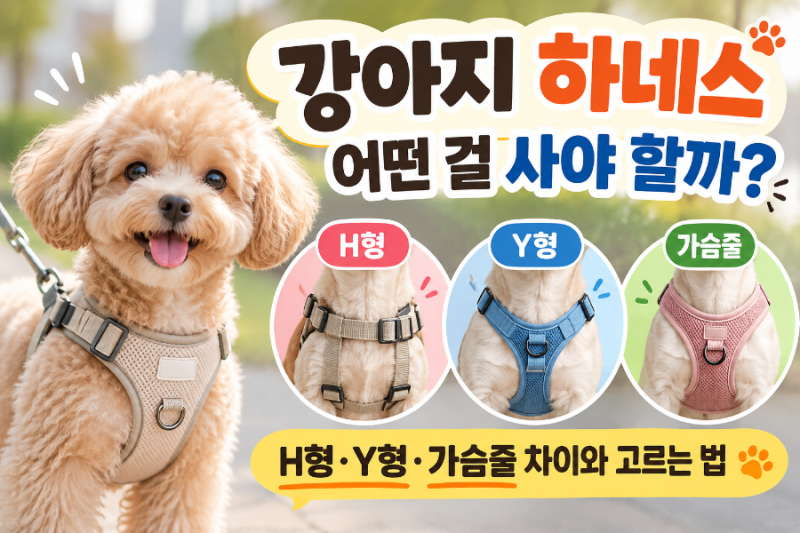 강아지 하네스 어떤 걸 사야 할까? H형·Y형·가슴줄 차이와 고르는 법
