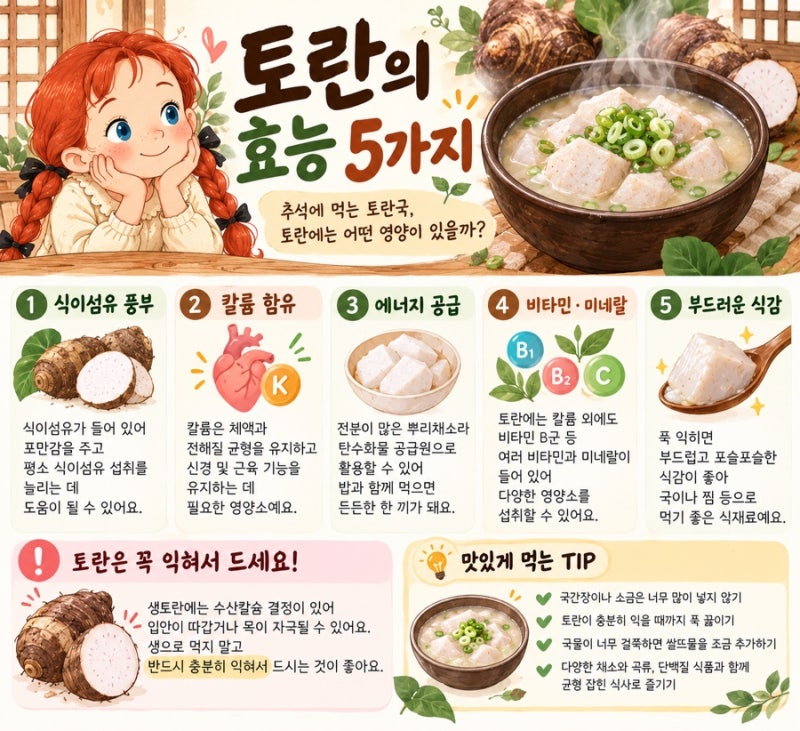 토란 효능 알아보기｜추석에 먹는 토란국, 토란에는 어떤 영양이 있을까?