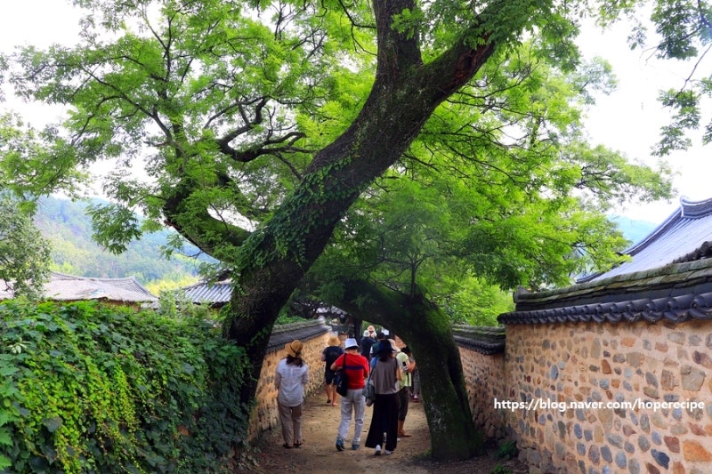 경남 산청 가볼만한곳 남사예담촌 넷플릭스 스캔들 드라마 촬영지 9월국내여행지추천
