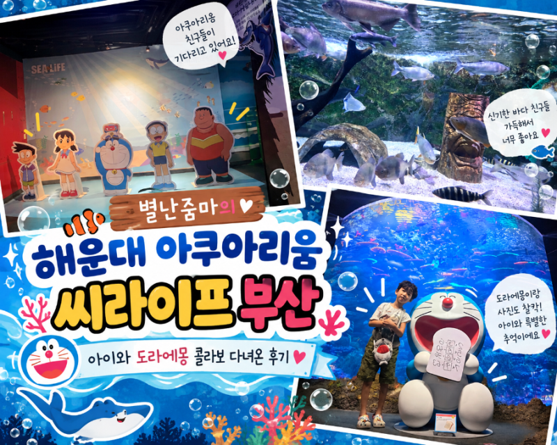 해운대 아쿠아리움 씨라이프 부산, 아이와 도라에몽 콜라보 다녀온 후기