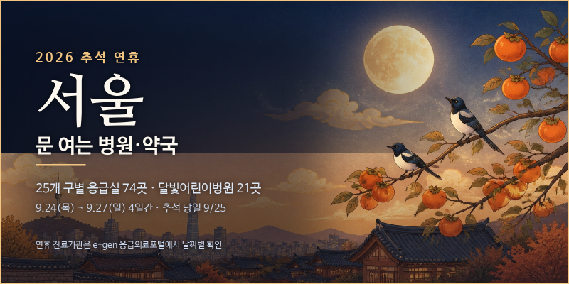 2026 추석 연휴 문 여는 병원·약국 총정리 e-gen(응급의료포털) 사용법 서울 구별/경기 시별/인....