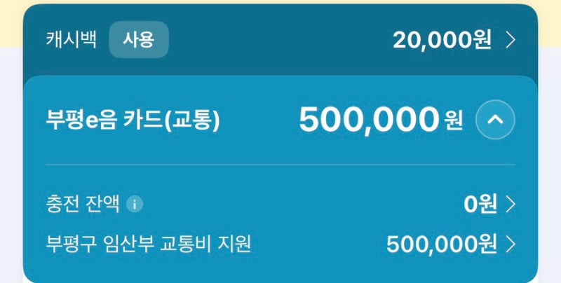 [임산부교통지원금] 인천시 임산부 교통지원금 신청방법 및 사용방법