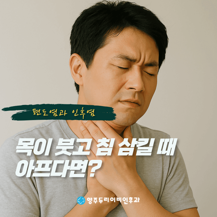 목이 붓고 침 삼킬 때 아프다면? 편도염과 인후염 증상 차이 - 양주 이비인후과
