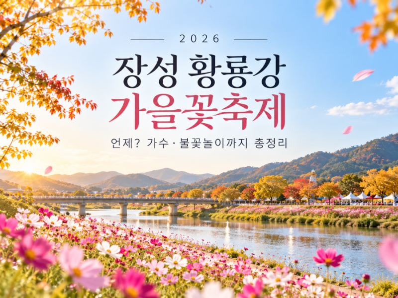2026 장성 황룡강 가을꽃축제 언제? 가수·불꽃놀이까지 총정리