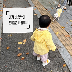 모이몰른 바람막이 | UV차단 크리스바람막이점퍼 | 돌아기 바람막이  추천