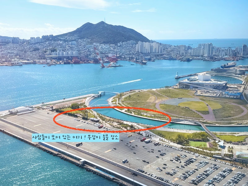 How to Get to Busan North Port Waterfront Park to See the Shark Bukang: Sighting Location, Parking, Near Busan Station