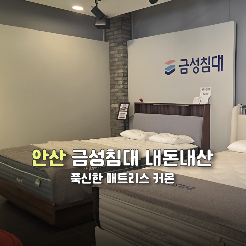 금성침대 안산점 내돈내산 | 부모님 효도 선물로 침대 바꿔드리기 (헤스티스 매트리스 & KS1224....
