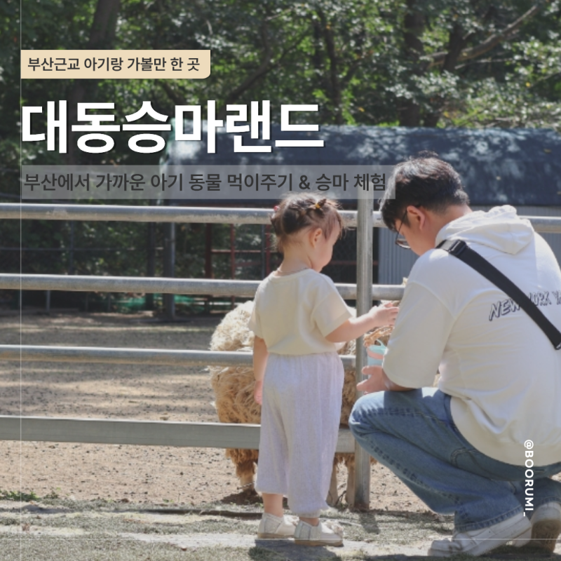 부산근교 아기랑 가볼만한곳 아기랑 김해 대동승마랜드