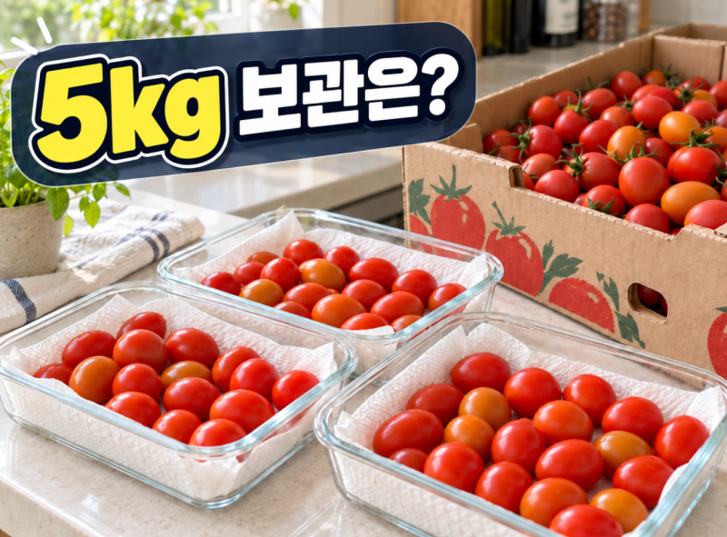 코스트코 방울토마토 5kg 오래 보관하려면? 꼭지 제거·세척·냉장보관법