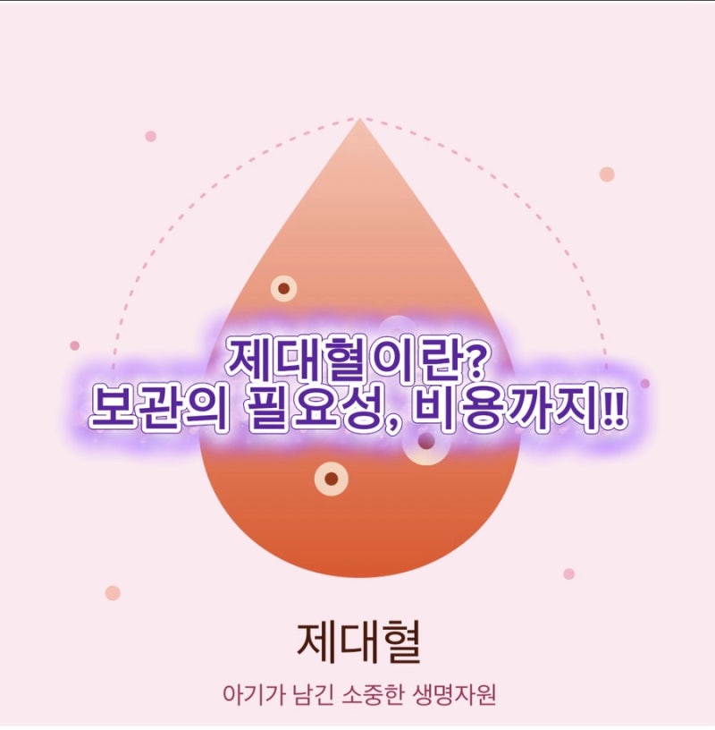 제대혈 보관 필요성과 비용, 제대혈 뜻까지 총정리