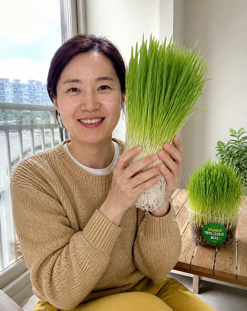 "흙 파헤치는 냥이 때문에" 고양이풀 캣그라스 수경재배 씨앗키우기로 갈아탔어요