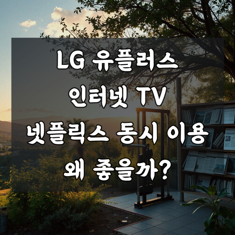 엘지 엘쥐 LG 유플러스 인터넷 티비 넷플릭스 세심하게 챙기기