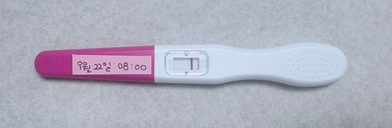 첫 인공수정 후기｜임테기 9일차부터 14일차까지, 결국 비임신 종결