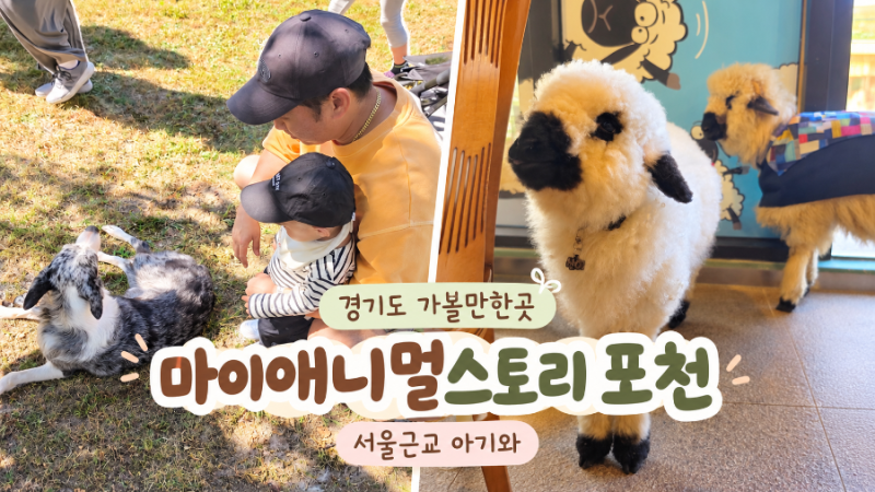 서울근교 아기랑 갈만한곳｜마이애니멀스토리 포천 유모차·먹이주기 체험
