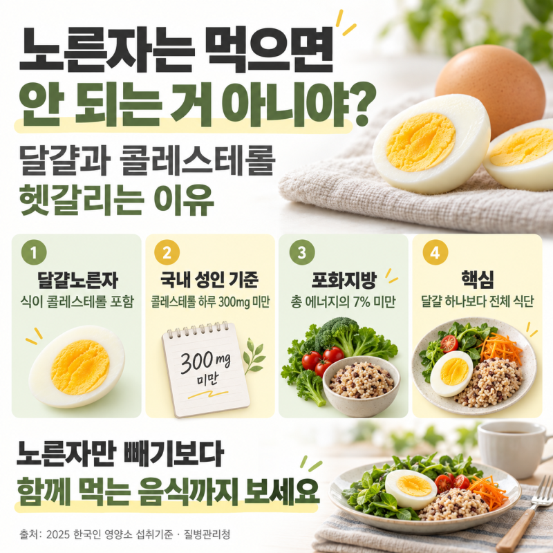 “노른자는 먹으면 안 되는 거 아니야?” 달걀과 콜레스테롤, 헷갈리는 이유