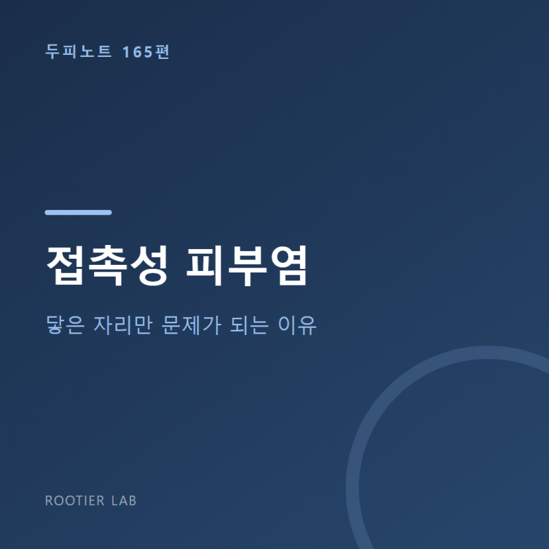접촉성 피부염 — 닿은 자리만 문제가 되는 이유