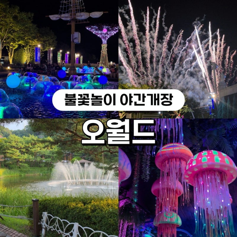 대전 오월드 추석연휴 사파리 패스트트랙부터 퍼레이드 뮤지컬 불꽃놀이까지