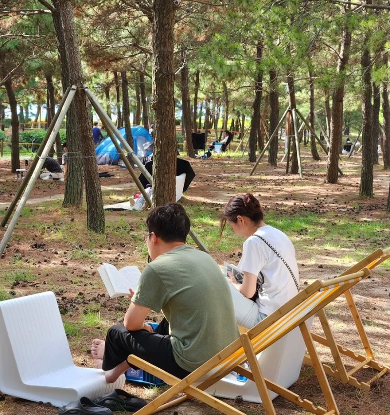 2026 부산바다도서관 낭만 미쳤다는 다대포 행사 일정·무료입장· 추석운영 정리