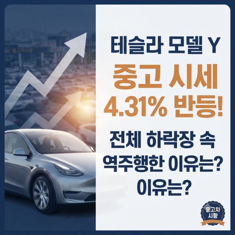"테슬라 모델 Y 중고 시세 4.31% 반등" 중고 전기차 거래 체크포인트