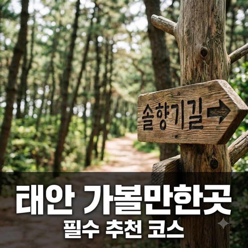 태안 가볼만한곳 베스트 5 추천 코스와 당일치기 여행 꿀팁