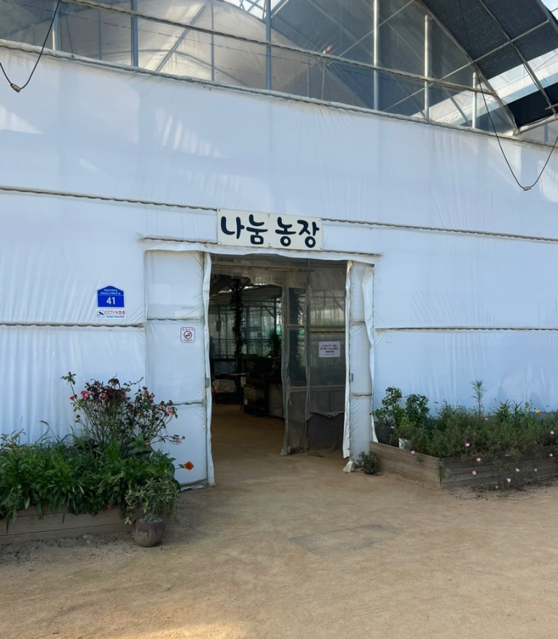 부천 나눔농장 아이와 가볼만한곳 동물 먹이주기 체험 후기(주차, 가격, 이용시간 등)