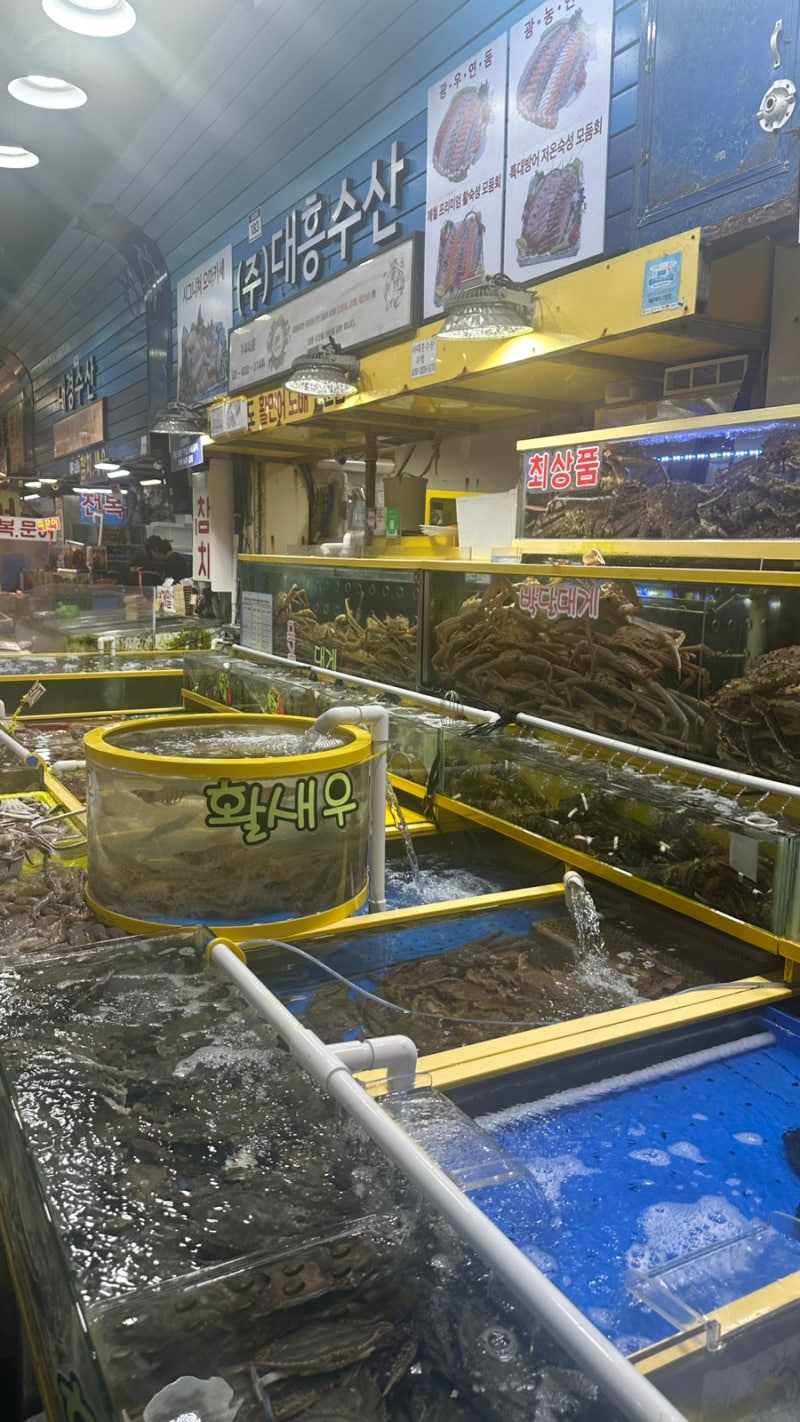[대흥수산] 킹크랩 대게 활어회 등 저렴하게 판매하는 가락시장 대게 포장 후기 서비스까지