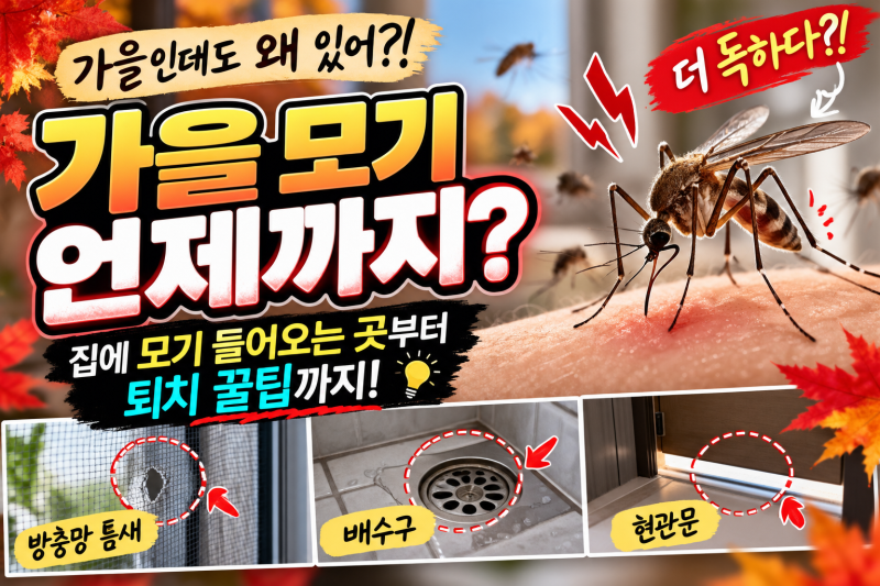 가을 모기 언제까지? 집에 모기 들어오는 곳부터 퇴치 꿀팁까지