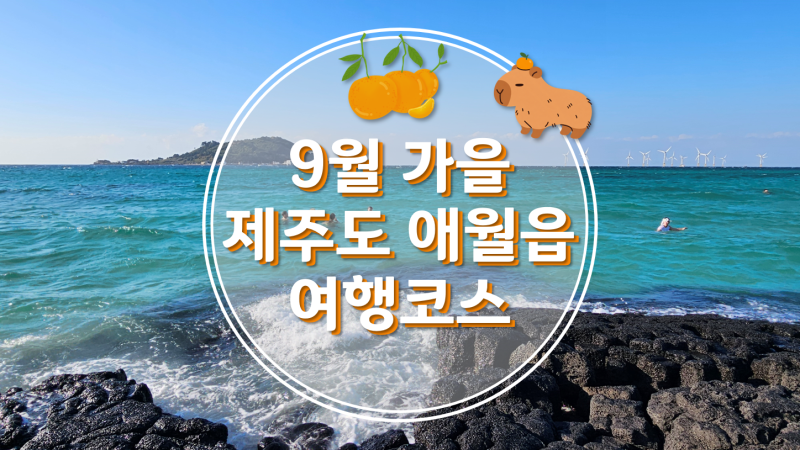 [제주도 여행] 9월 가을 제주도 애월읍 반나절 여행코스