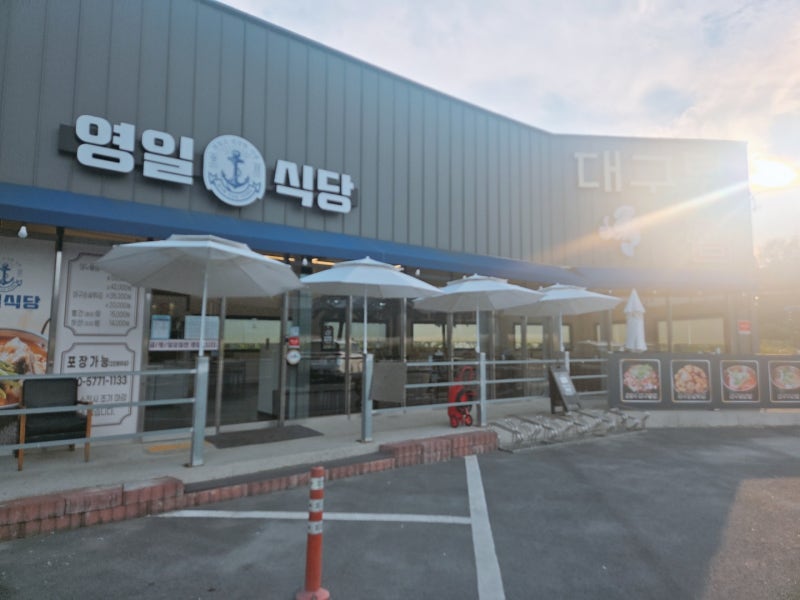 포항 구룡포에서 발견한 대구 한 상…찜부터 지리탕까지 있는 영일식당
