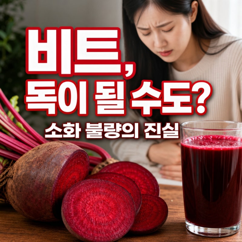 비트 효능에 오해 풀기, 실제 섭취 후 겪은 소화 불량 증상과 전문가들이 말하는 진짜 평가