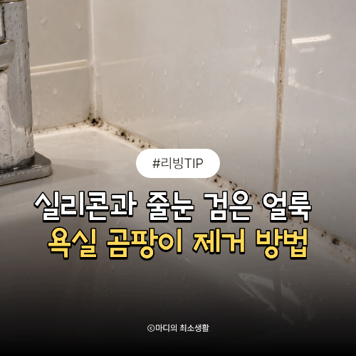 욕실 곰팡이 제거, 실리콘과 줄눈에 생긴 검은 얼룩 어떻게 없앨까?