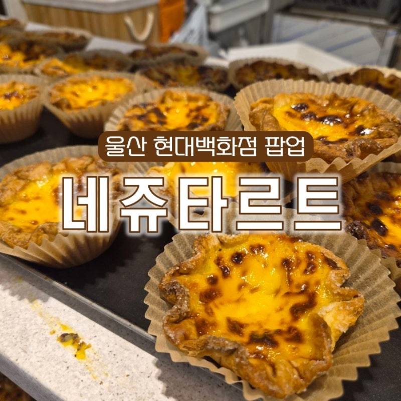 울산 현대백화점 네쥬타르트 팝업ㅣ아직도 안드셔보셨으면 얼른 서두르세요!!