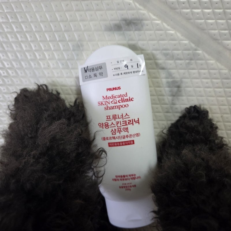 강아지 피부병 약용샴푸 사용 전, 딱지·가려움 원인부터 확인