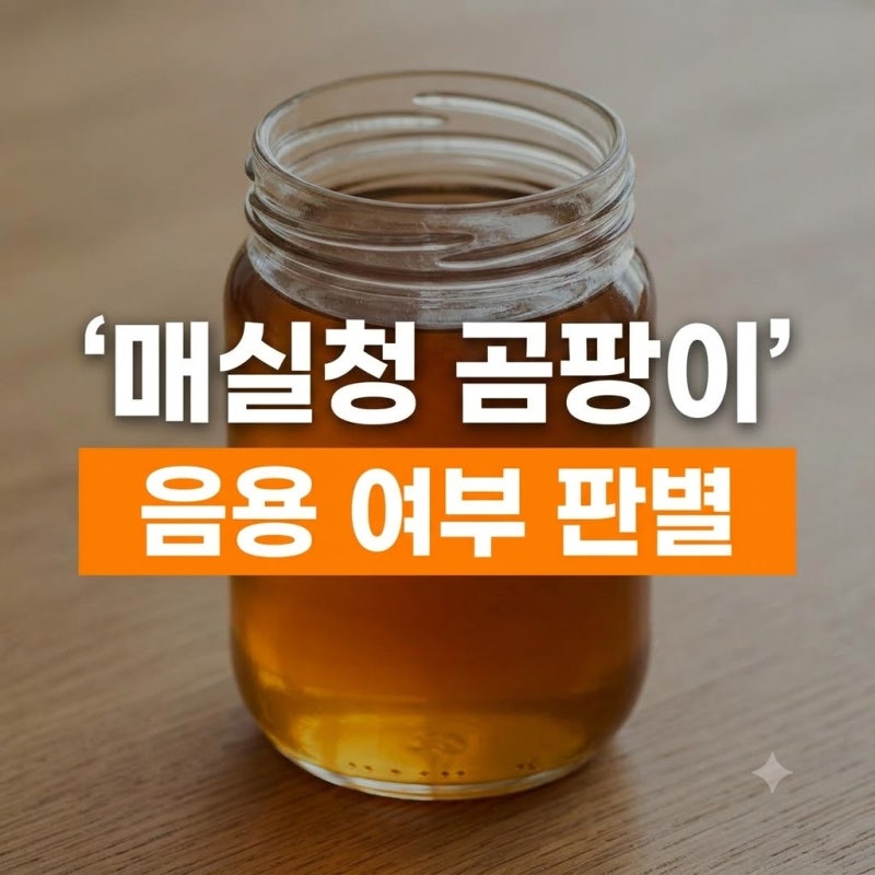 매실청 곰팡이 제거 방법 음용 가능 여부 판별 기준