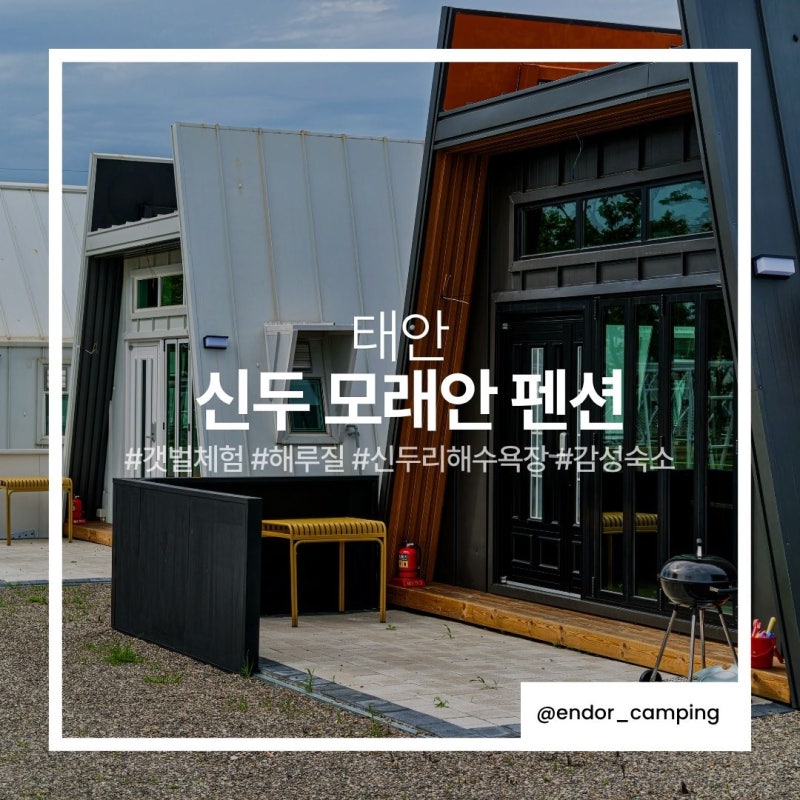 태안 모래안 펜션 신두리해수욕장 바로 앞 감성숙소 갯벌체험 해루질까지