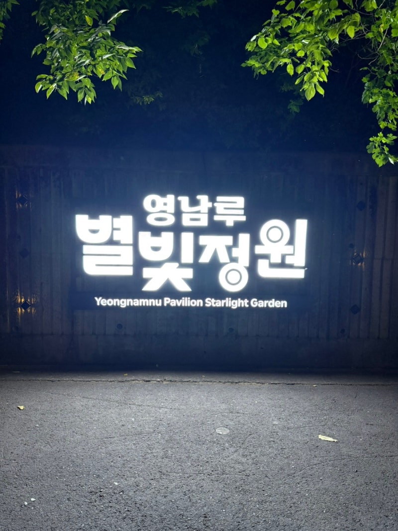 경남 야간 산책 맛집 | 밀양 별빛정원 다녀왔어요!