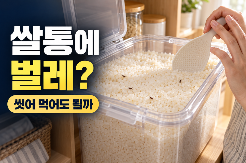 쌀통에서 벌레가 보일 때, 씻어 먹어도 될까? 보관통부터 확인하세요