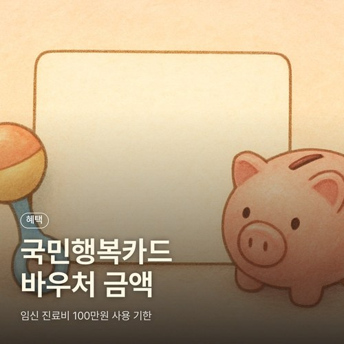 국민행복카드 바우처 금액, 임신 진료비 100만원 사용 기한