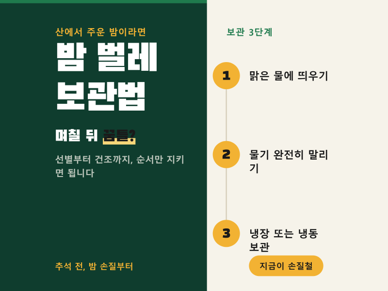 주운 밤 보관법, 선별부터 다릅니다