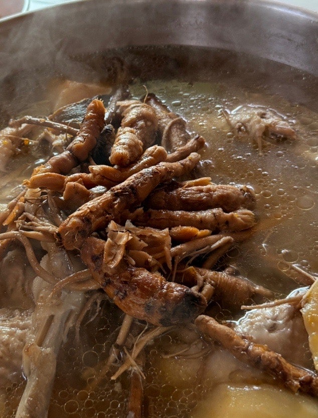 양양 각두골 맛집｜약초 백하수오 백숙정식 9만원 내돈내산, 주차·메뉴
