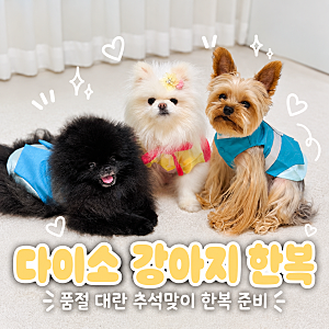 강아지 다이소 한복 드디어 사왔어요! 추석맞이 애견한복 옷 후기