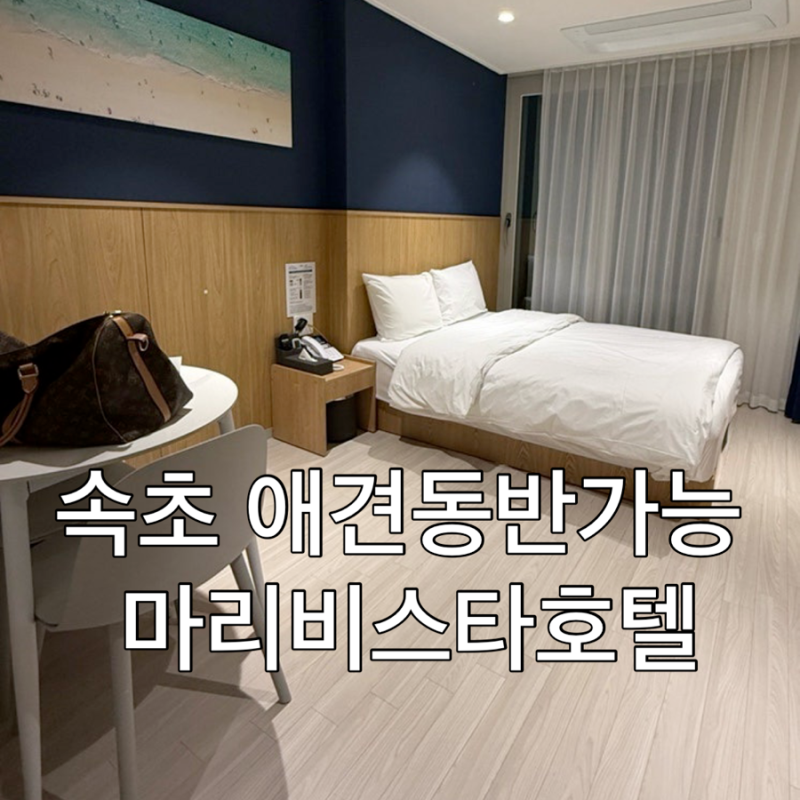 Sokcho Pet-Friendly Accommodation: Marivista Hotel | Self-Service Luggage Storage & Parking Information