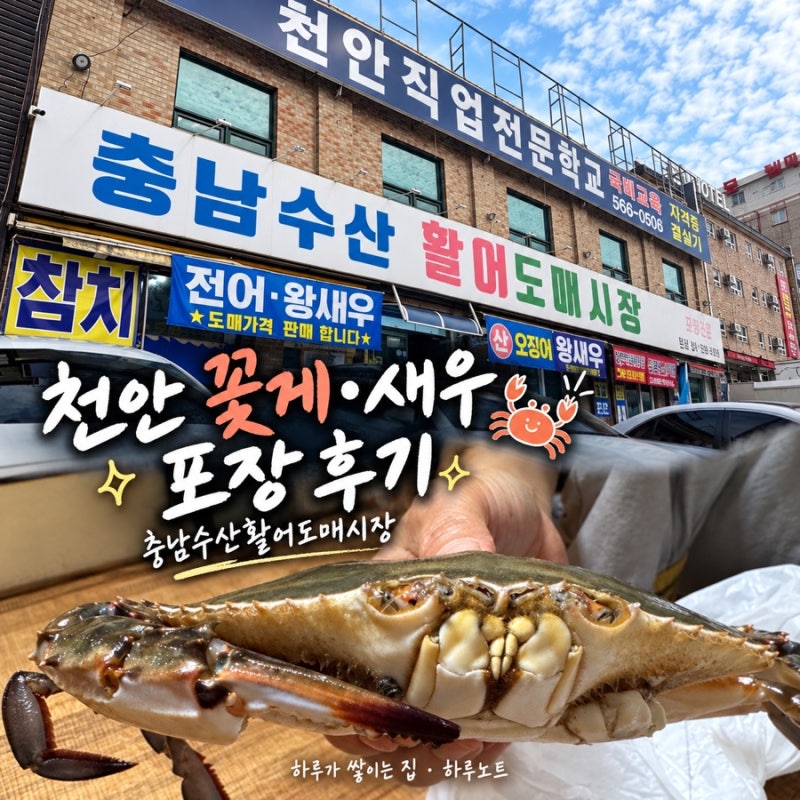 천안 꽃게 가격｜충남수산활어도매시장 새우·해산물 포장 주차 후기
