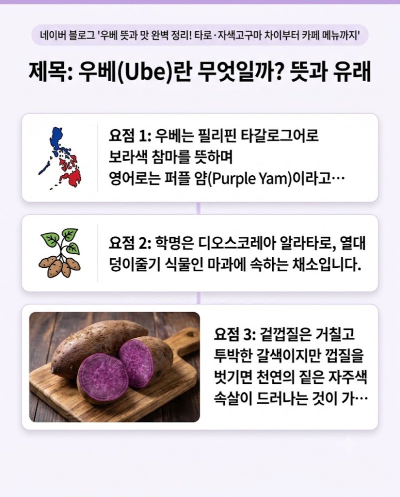 우베 뜻과 맛 완벽 정리! 타로 자색고구마 차이부터 카페 메뉴까지