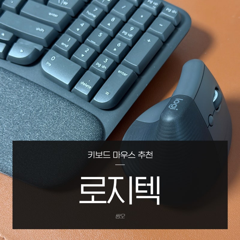 강민경 키보드 & 마우스 추천 : 로지텍 WAVE KEYS 키보드 + LIFT 버티컬 마우스 조합 솔직 후기