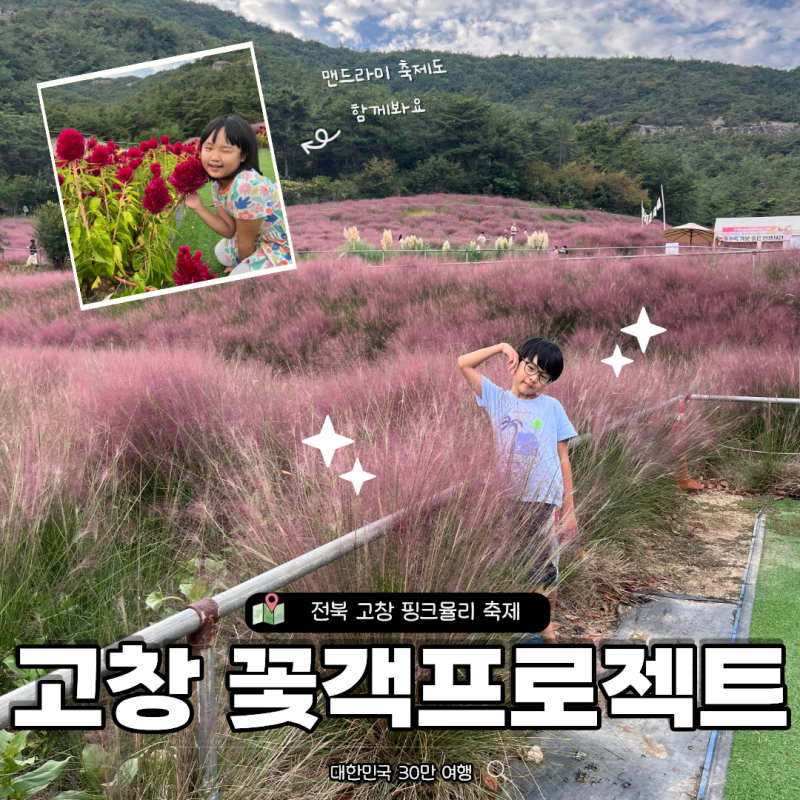 고창 핑크뮬리 축제 2026년 9월 꽃객프로젝트 성수기 시즌 실시간