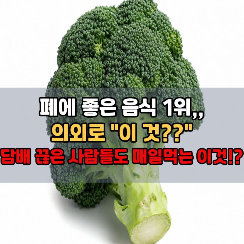 "폐에 좋은 음식 1위, 의외로 '이것'?" 담배 끊은 사람들도 매일 먹는다 | 금연 후 폐 회복 토마....