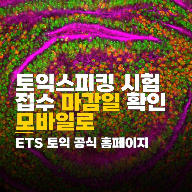 토익스피킹 시험 접수 사이트, 모바일 환경 토익 응시 방법과 접수 마감일 확인